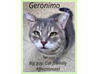 Adopt Geronimo, Willow Grove PA (FCID 05/29/2024-84) a Tabby