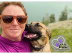 Adopt Cherry Chip - Ice Cream Litter a Mastiff, Mixed Breed