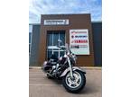2001 Kawasaki VN1500 NOMAD Motorcycle for Sale
