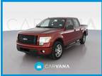 2014 Ford F150 SuperCrew Cab