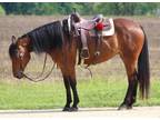 Beautiful Ranch Riding Mare