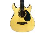 Thin Line Acoustic Electric Guitar 6 String Double Cutaway Sunburst