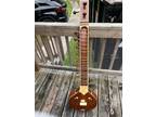 Sitar Guitar bought from India