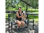 June Carter, American Pit Bull Terrier For Adoption In Marysville, Washington