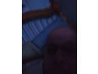 Looking for a room to rent