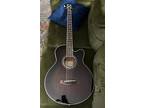 Ibanez Acoustic/Electric Bass Guitar 4-String With Fishman Pickups And Tuner