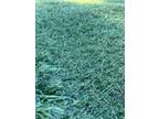 Turf used