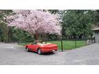 One of 17: 1991 Avanti Convertible