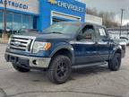 2009 Ford F-150