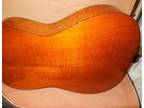 Vintage Hofner Acoustic Concert Guitar Fiddle Back Maple Back Made In Germany
