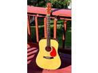 DELTA nashville, tn acoustic guitar, !! rare and great condition !! 1999/2000