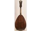 Weymann Style 40 Mandolute made in 1928