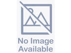 Adopt TRACKER a Plott Hound, Mixed Breed