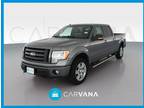 2010 Ford F150 SuperCrew Cab