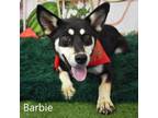 Adopt Barbie a Husky