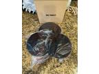 Donner Cymbal Pads 3 Pieces. 2 Crash/Ride, 1 High Hat Cymbals