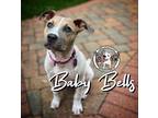 Baby Bells Adult Female