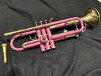 Painted Pink Vinci Trumpet With Mouthpiece