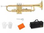 Glarry Gold Brass Bb Trumpet + Case Cloth Gloves for Student School Hard Case
