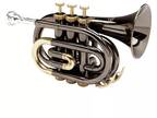 Allora MXPT-5801-BK Black Nickel Series Pocket Trumpet Black Nickel