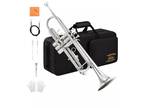 Eastar Bb beginner standard trumpet band performing brass instruments