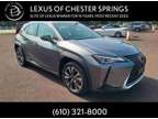 2019 Lexus UX 250h