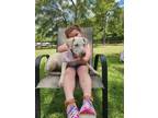 Adopt Coral - Nemo theme litter a Labrador Retriever
