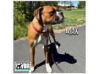 Adopt Max 2024-1 a Boxer
