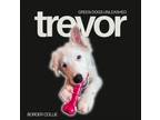 Adopt Trevor a Border Collie