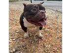 Tootsie Roll Senior Female