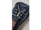 Black Washburn ☆Dimebag Darbell☆ 332 w/Soft Washburn Case Dimebag Darrell