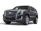Used 2019 Cadillac Escalade for sale.