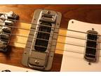 Rickenbacker 4003 Bass aftermarket Treble Bezel™ COVE Chrome