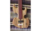 Ambrosia Maple Bass Fretless 5 String Scarab Wishbass Reg Scale 34" Soapbar Pu