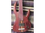 Purpleheart Peanut Bass Fretless 4 String Wishbass Reg Scale 34" Soapbar Pu