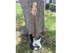1996 Fender Precision Bass MIM