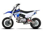 2024 THUMPSTAR CANADA HUNGE 110-C Motorcycle for Sale