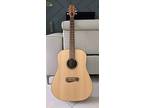 Tacoma DM9 Acoustic Solid Guitar Spruce Top w/Mahogany Sides, Strap, Hard Shell