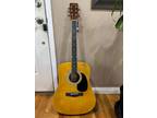 Zager Easy Play Custom Acoustic Guitar, Model ZAD01PKN - Brand New!