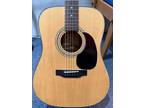 Zager ZAD20 Acoustic Guitar EZ Play Series Dreadnought w/Case.