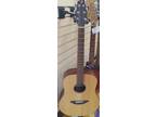 Breedlove Passport D20fs Acoustic Guitar (Ro1052129)