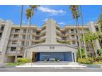 545 SE 12th St #205, Dania Beach, FL 33004