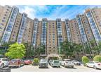 5904 Mt Eagle Dr #903, Alexandria, VA 22303