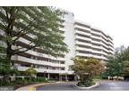 5300 Columbia Pike #704, Arlington, VA 22204