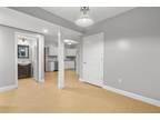 Chapel St Unit Basement, New Haven, Home For Rent