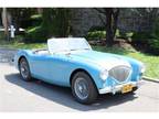 1956 Austin-Healey 100-4