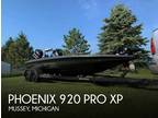 21 foot Phoenix 920 Pro Xp