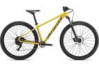 Specialized Rockhopper Comp 29