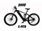 Full Suspension E-Mountain Bike