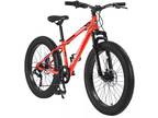 S24109 24 Inch Fat Tire Bike Adult/Youth Full Shimano 7 Speeds Mountain Bike